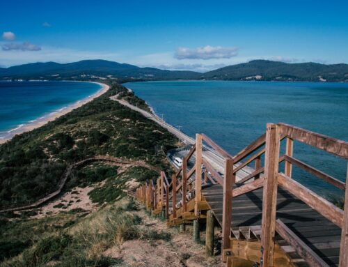 Moving to Tasmania? Make It Easy With These Tips